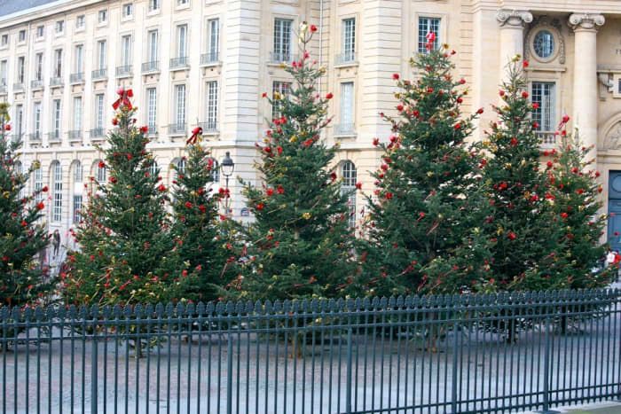 パリのクリスマスツリーは、休暇中に定期的に見られます。
