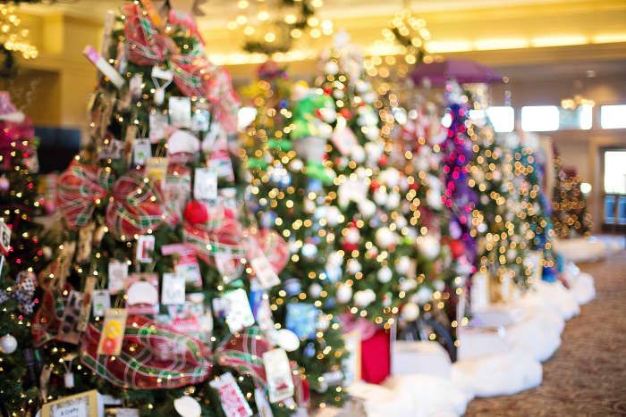 Sommige goede doelen houden gesponsorde kerstboomvitrines waar bezoekers voor een donatie kunnen stemmen op hun favoriete boom. Je zult de magie van kerstbomen ervaren en tegelijkertijd iets teruggeven aan je lokale gemeenschap!