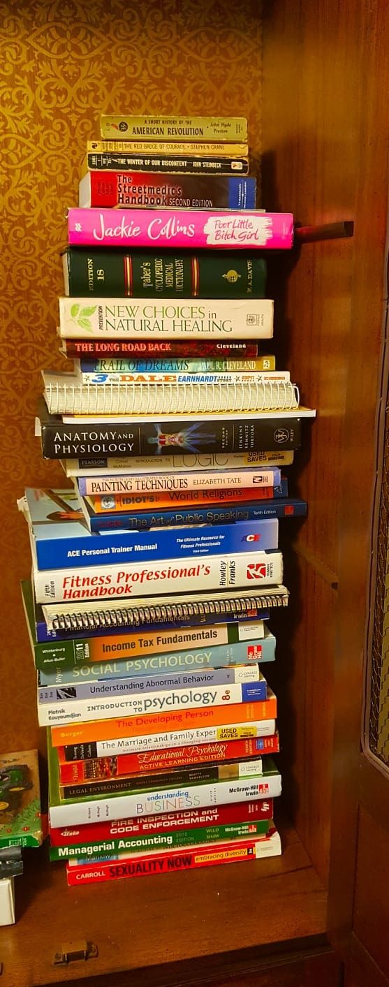 Uma pequena coleção de livros de texto da faculdade e outros livros fascinantes.