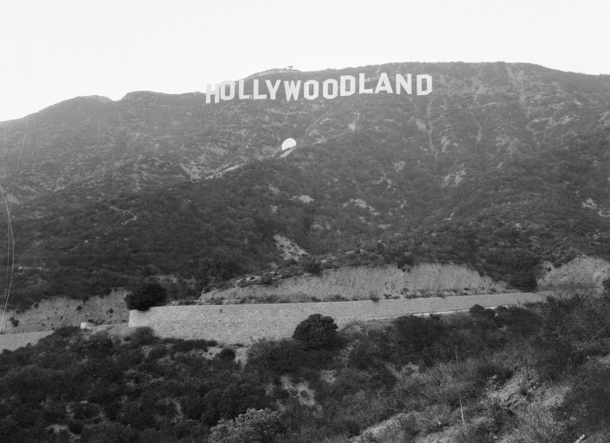 hollywood tabela alanı intihar sitesi