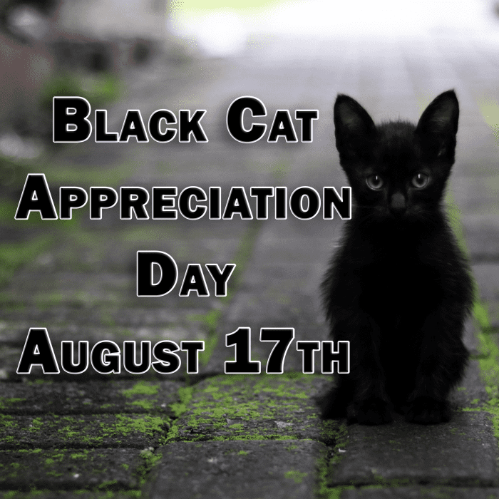 يتم الاحتفال بيوم تقدير القط الأسود في 17 أغسطس.