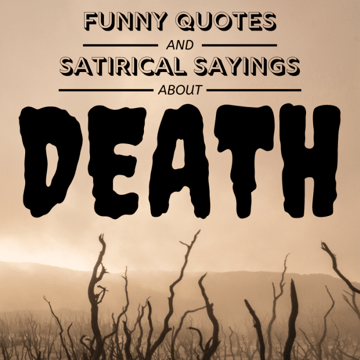 Unatoč tome što nije najpopularnija tema razgovora, koncept smrti je tijekom godina inspirirao dosta pametnih i pronicljivih izreka.