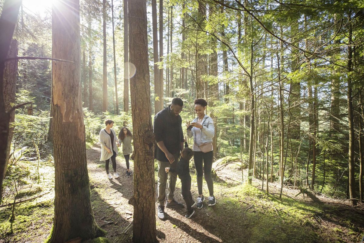 familieplezier in een zonovergoten bos