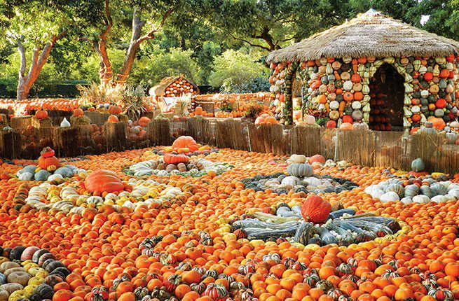 Alimentos naturales, Calabaza de invierno, Comida local, Calabaza, Alimentos integrales, Calabaza, Vegetales, Frutas, Plantas, Cucurbita,